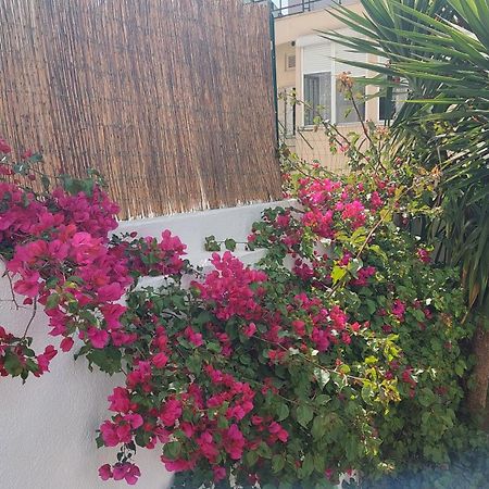 Apartment With Private Garden - Central Location リスボン エクステリア 写真