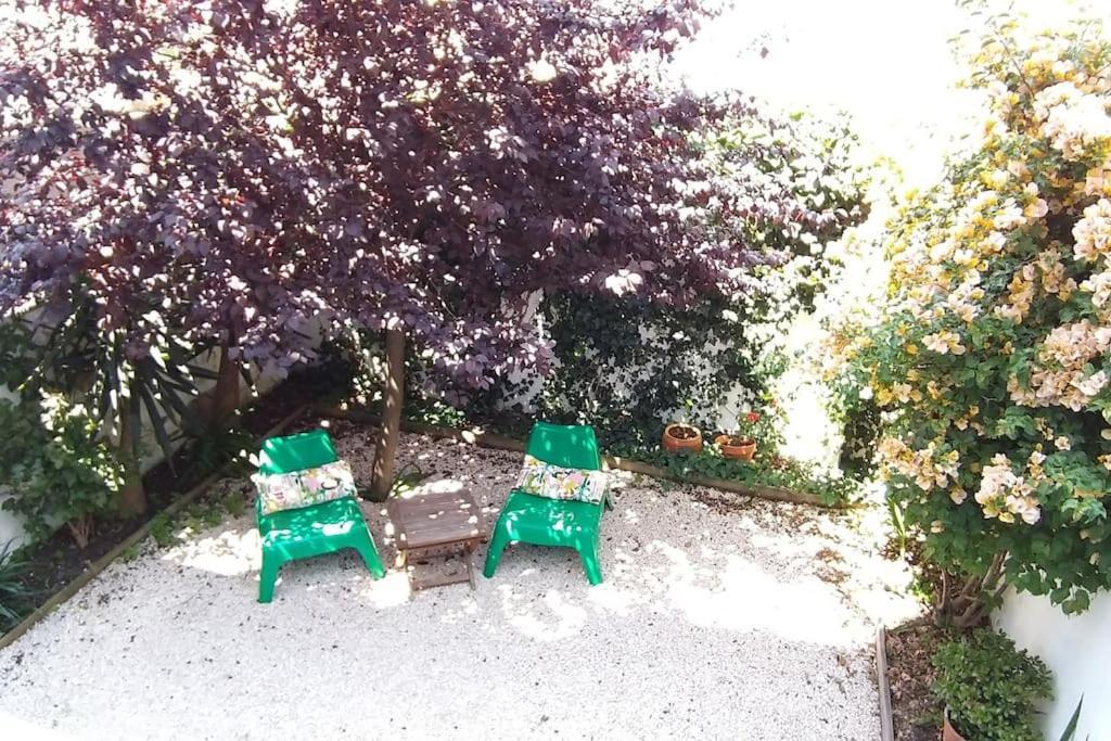 Apartment With Private Garden - Central Location リスボン エクステリア 写真