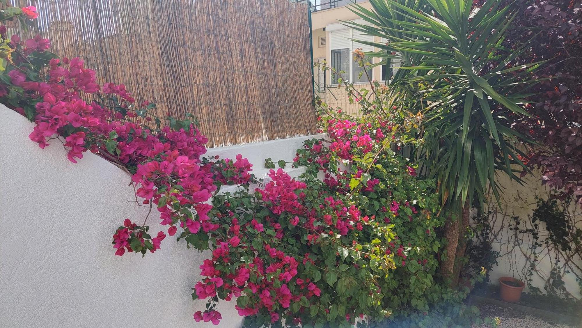 Apartment With Private Garden - Central Location リスボン エクステリア 写真